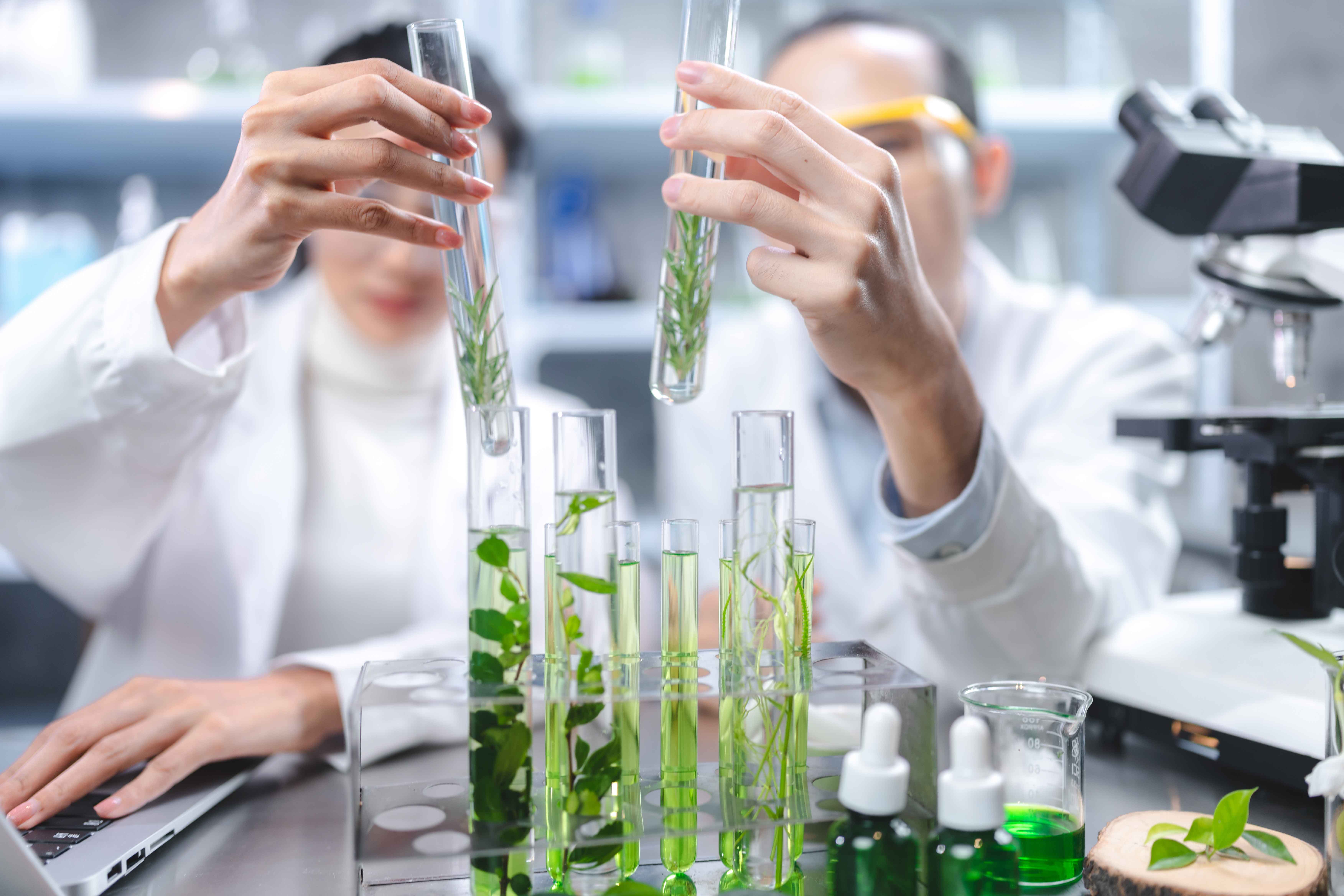 A Tale of Two Medicines: The Evolution of Healthcare